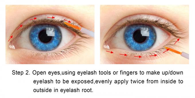 PROLASH EPM 헤어 세럼과 유기 비 자극 부스터를 사용하여 호화로운 잠자를 얻으십시오. 0