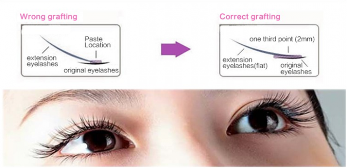 10mm-15mm 천연 긴 가짜 안구 5 쌍 합성 색발 확장 7